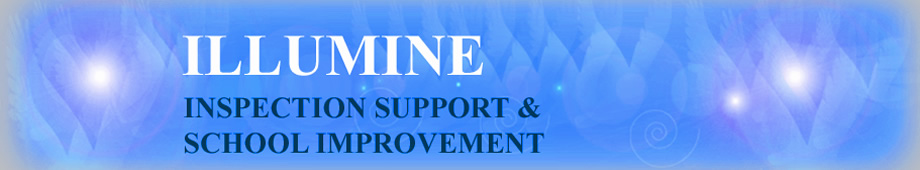 Illumine Inspection Support & School Improvement